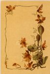 Asterion sahara