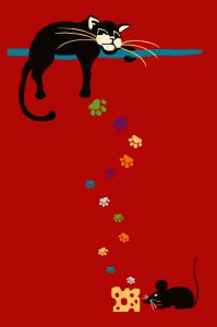 CAT amaryllis