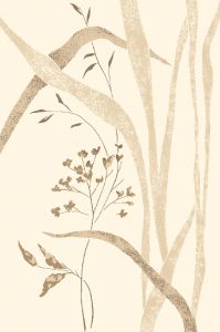 GRAS cream