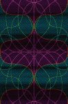 NON violet (1)