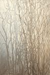OTIUM beige