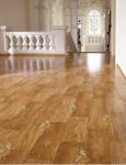DARLA 3307 gloss