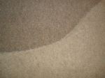 CORD beige