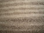 BIRD dark beige