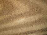TULA beige