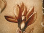 Asterion sahara