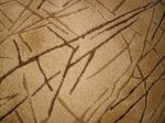 ACER beige