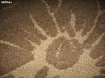 DORIS dark beige